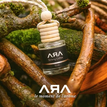 Parfum Mobil Anti Bau Mual Wangi Tahan Lama