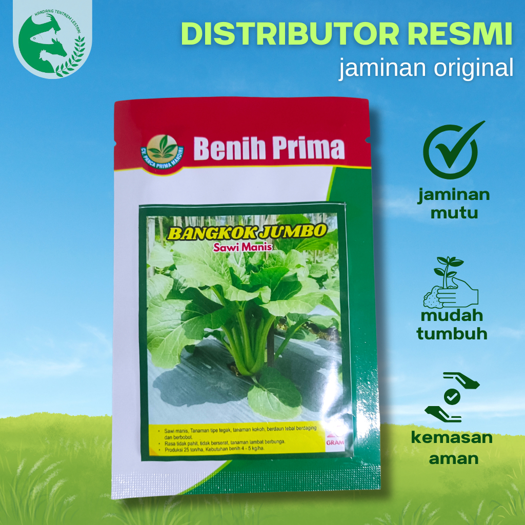 Benih Sawi Manis Caisim BANGKOK JUMBO 25 gram Benih Prima Unggul Prodeksi Tinggi Tahan Penyakit