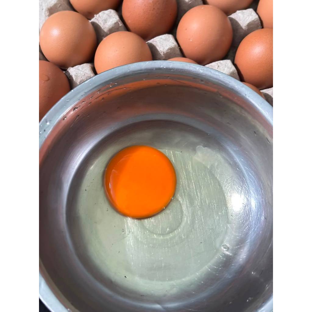 Jual Telur Ayam Omega Lulus Uji Lab tinggi omega 3,6,9 | Shopee Indonesia