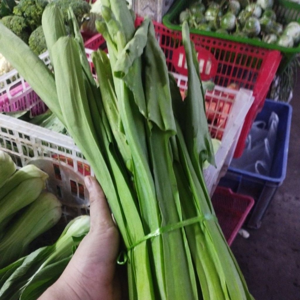 Jual Sayur Genjer Terlengkap & Harga Terbaru Juli 2026 | Shopee Indonesia