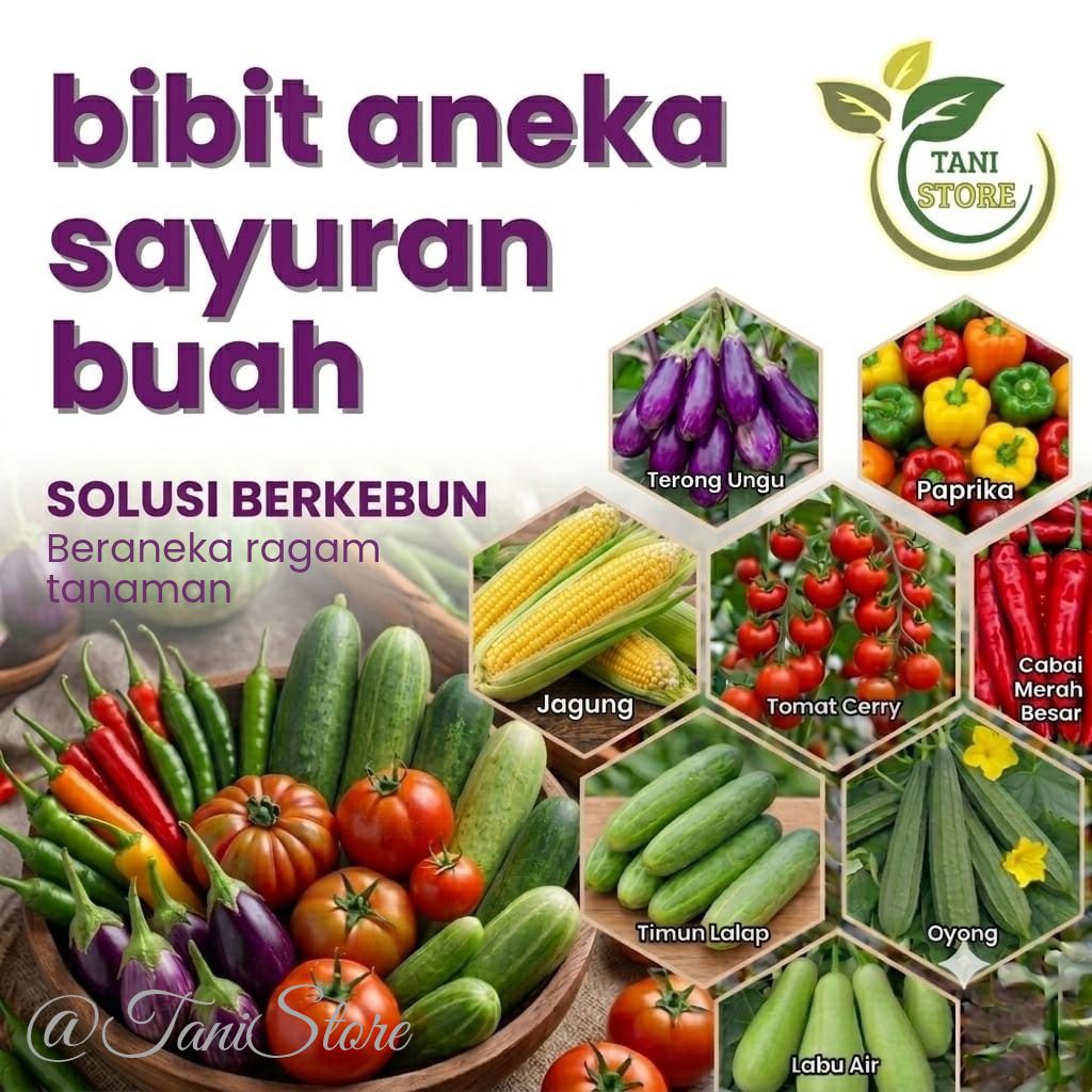 Bibit Benih Aneka Sayuran Buah Lengkap Mudah Tumbuh_Varian Lengkap_kecipir_pare_terong_tomat_cabai_oyong_jagung_dll