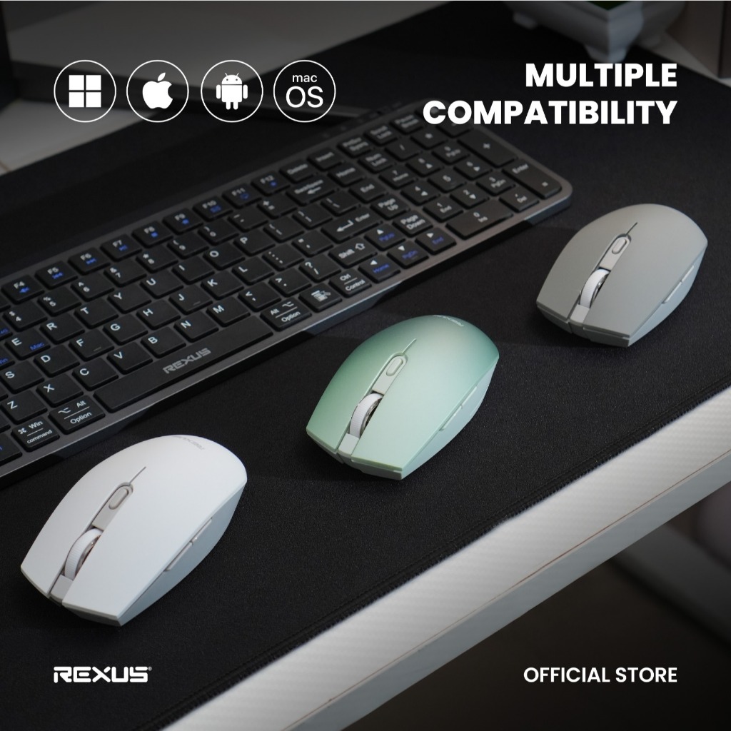 Rexus Q60 Wireless Office Mouse Silent Click Up to 3 Years Battery Life (5)