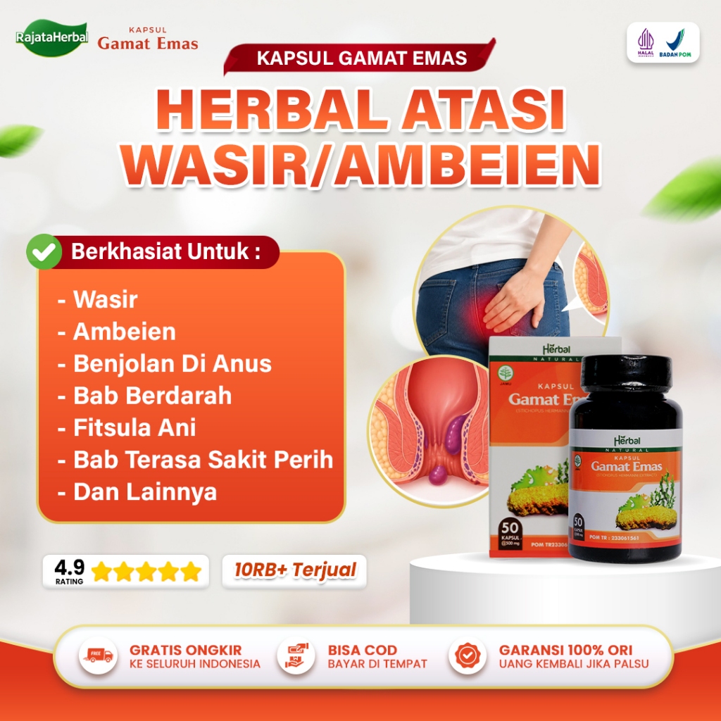 Obat Wasir Ambeien Ambeyen Benjolan Di Anus Fistula Ani BAB Berdarah Abses Anus Redakan Nyeri Kempeskan Benjolan - Kapsul Gamat Emas Asli 100% Original BPOM Halal MUI