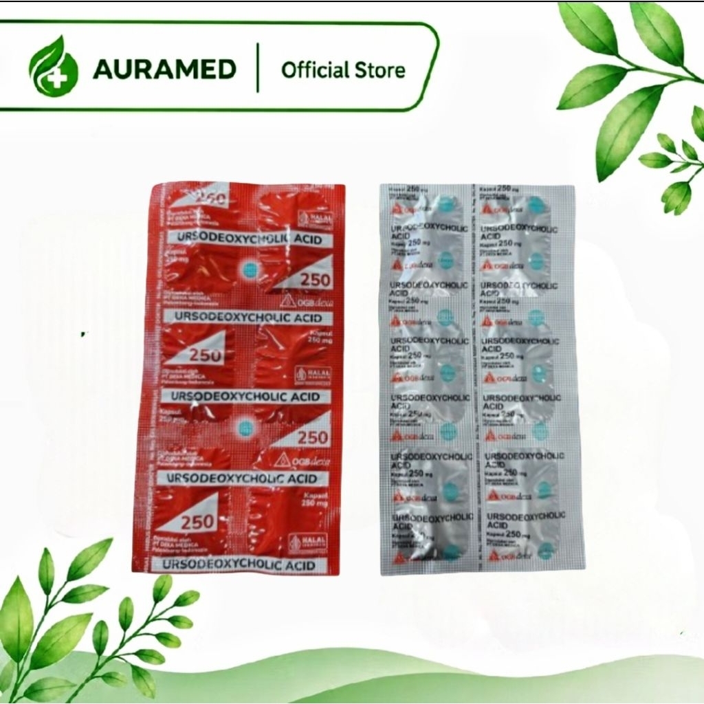 ursodeoxycholic acid 250 mg 1 strip isi 6 capsul