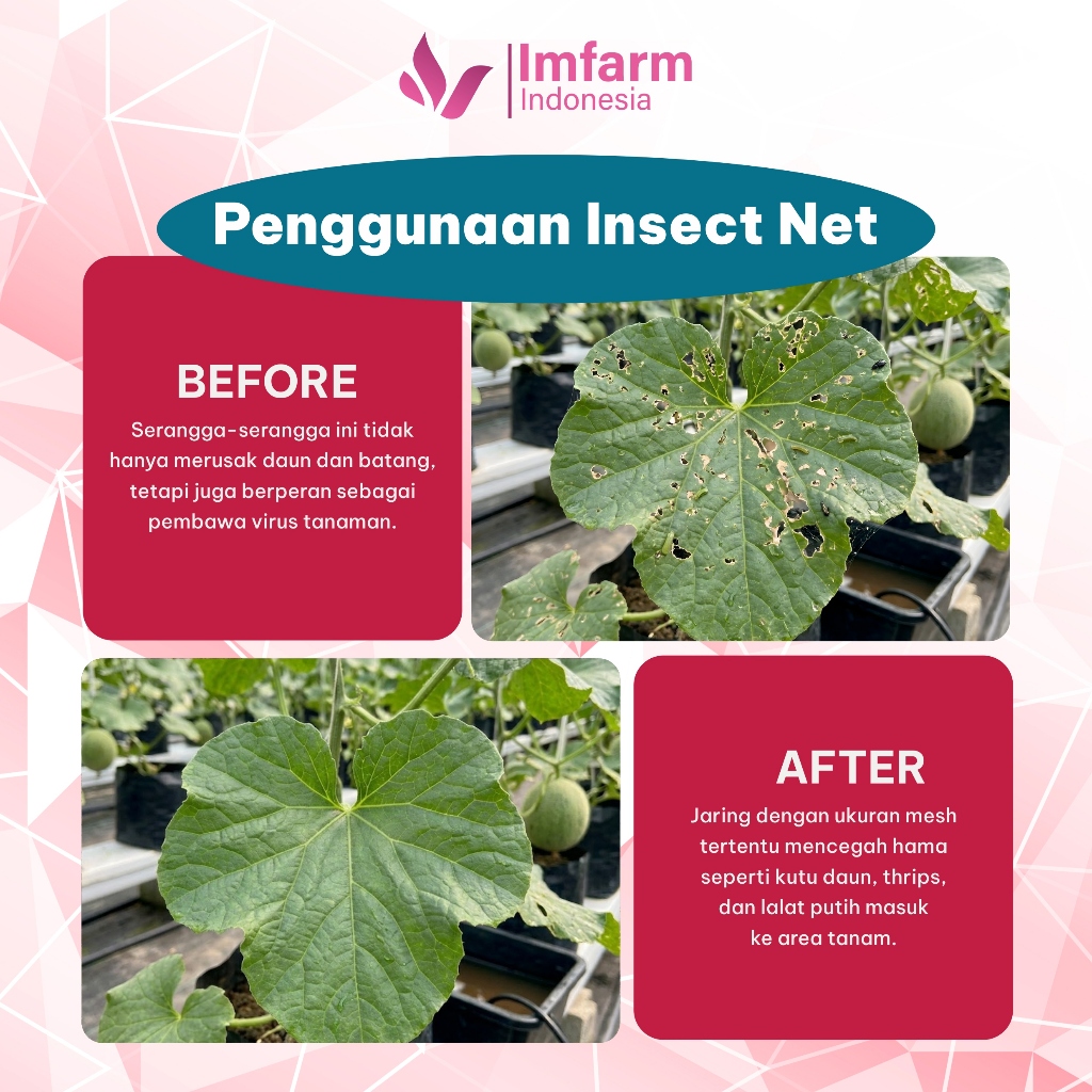 Jual Jaring insect net lebar 1 meter - Jaring serangga greenhouse ...