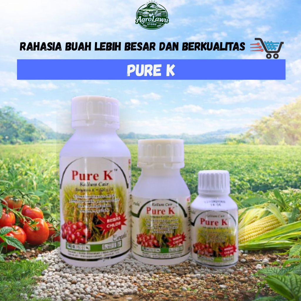 Jual PURE K Pupuk Cair Membesarkan Umbi Meningkatkan Warna Buah ...