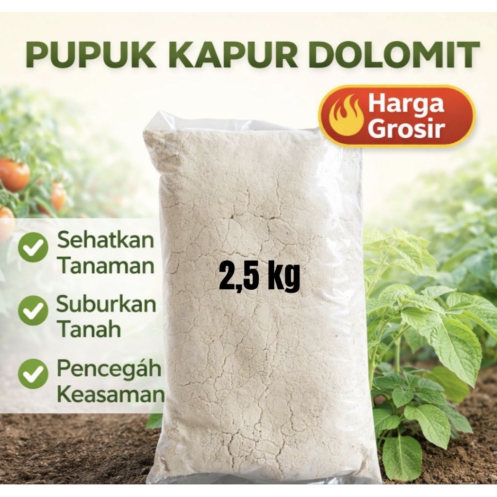 Jual DOLOMIT AZZA kemasan 2,5kg polos - MgO :12-22% CaO Min :30% ...