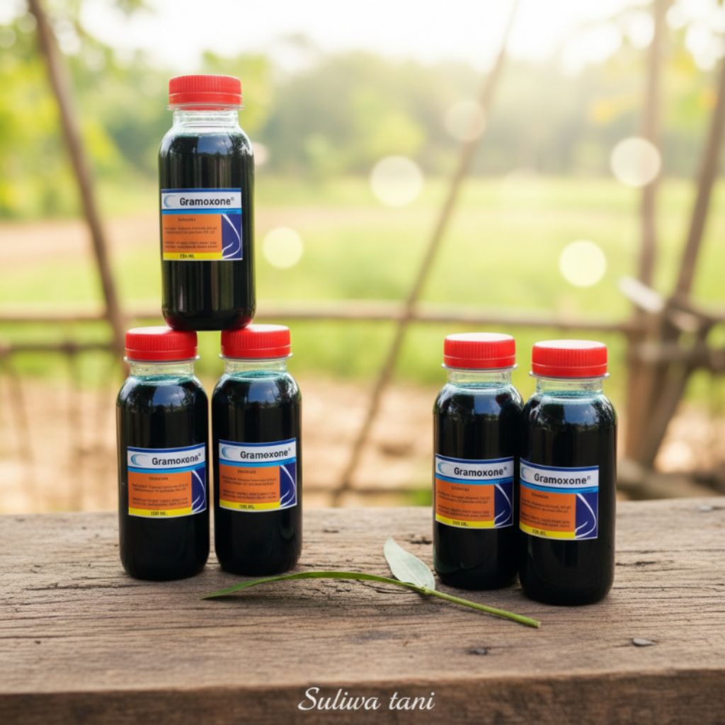 Jual Gratazon Terlengkap & Harga Terbaru Juli 2026 | Shopee Indonesia