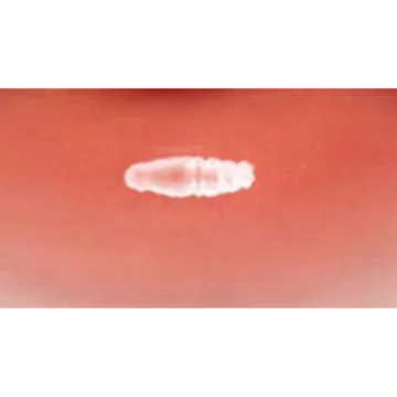 CLX Crystal Glam Tint Glossy Lip Tint