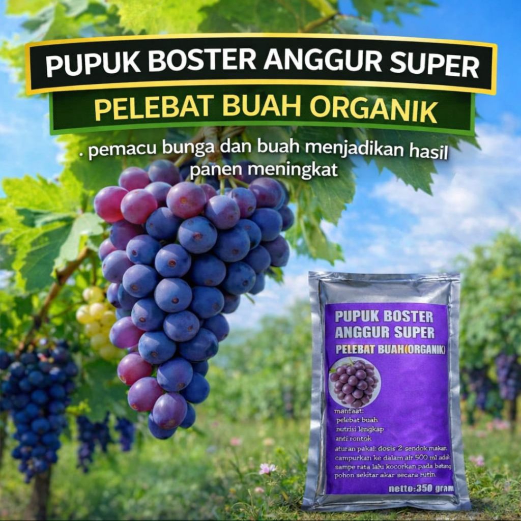 Jual Pupuk Booster Anggur Organik Super Pelebat Buah Anti Rontok 350 ...