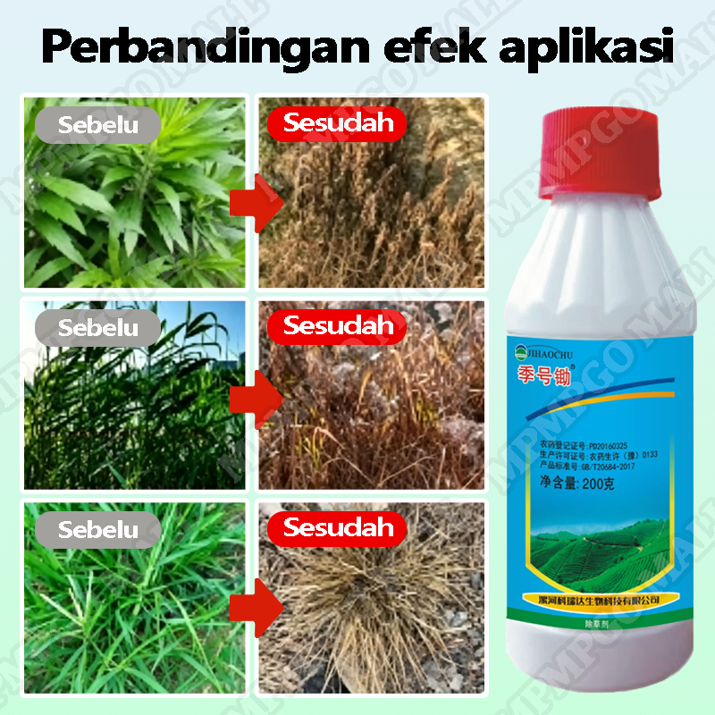 Jual Obat Pembunuh Pohon Besar racun bambu paling ampuh herbisida Obat ...