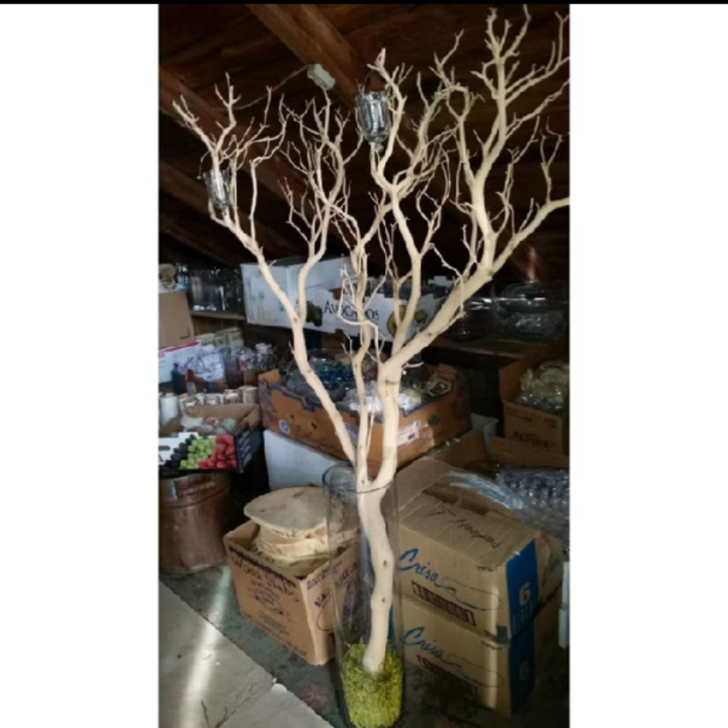 Jual Ranting Pohon Dekorasi - Ranting Kayu Halus Kering Bercabang ...