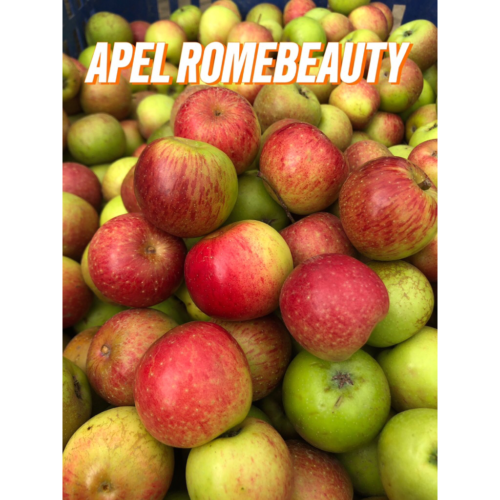 Jual APEL ROMEBEAUTY BABY MINI - 1 KG | Shopee Indonesia