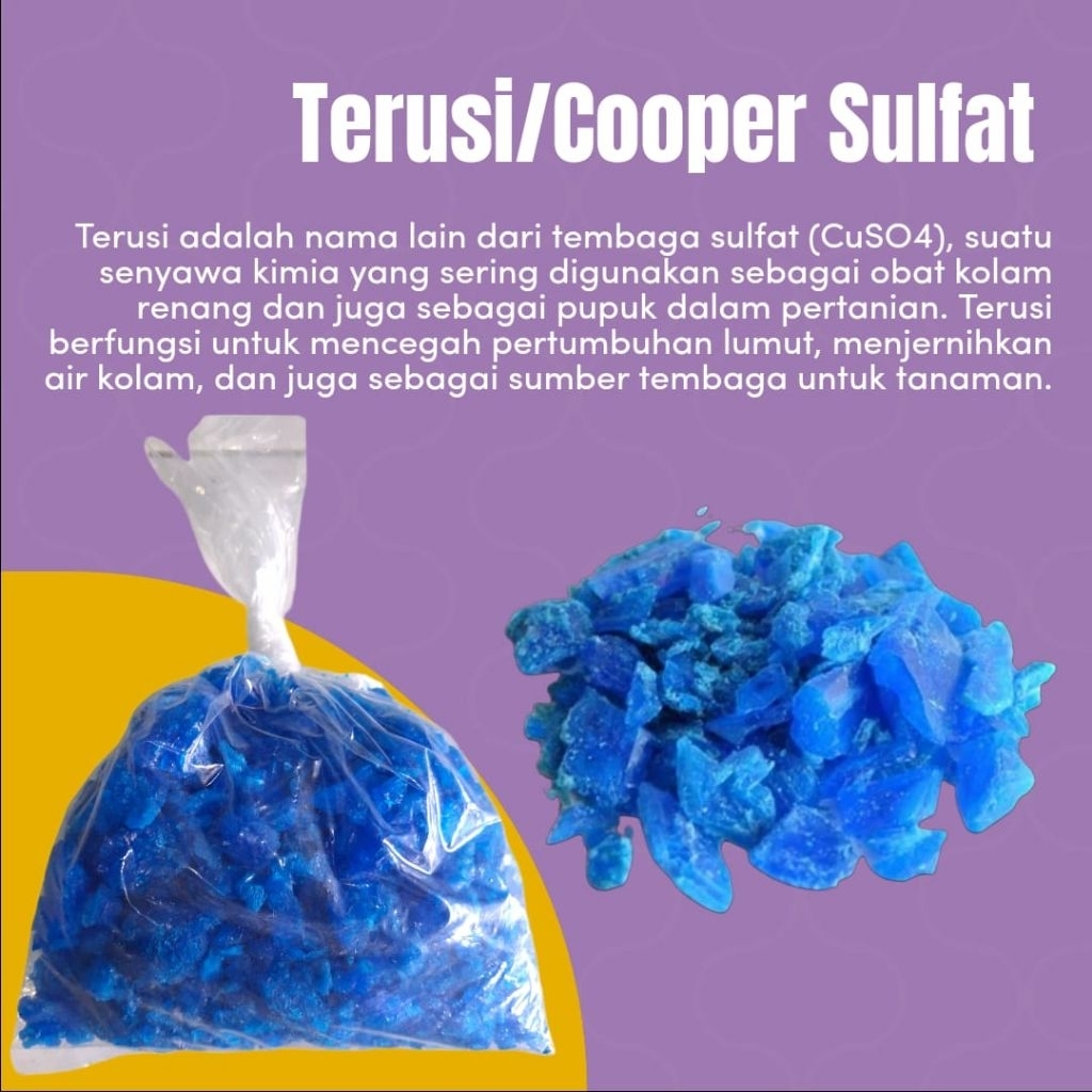 TERUSI /COOPER SULPHAT_1KG /SUPER