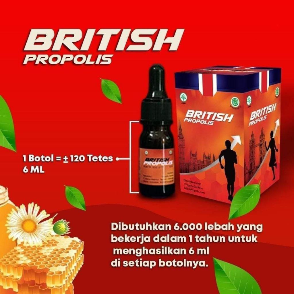 Jual BRITISH PROPOLIS REGULER MERAH DEWASA ORIGINAL BERGARANSI | Shopee ...