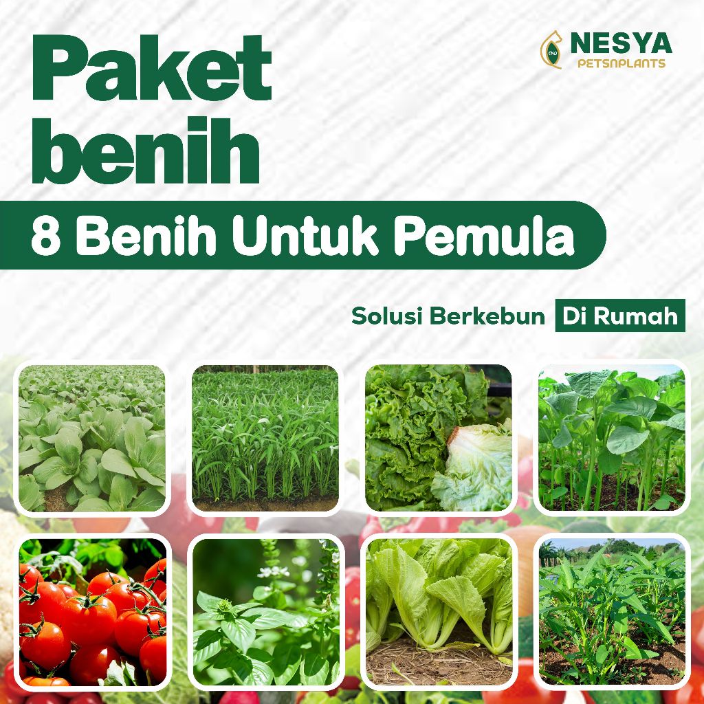 Jual Paket 8 Jenis Benih Untuk Pemula Mudah Tumbuh - Paket Benih Sayur ...