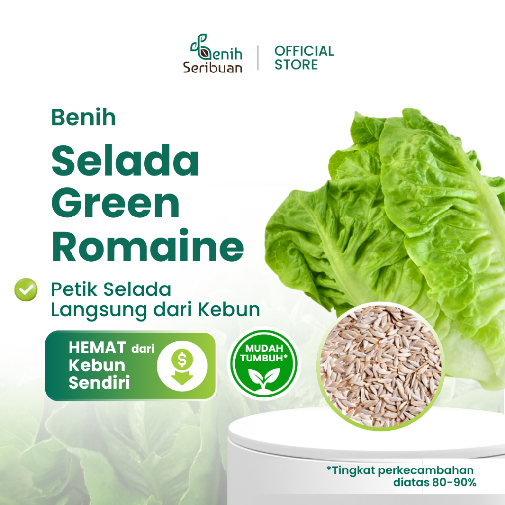 100 Bibit Selada Romaine Hijau Benih Sayuran Selada Lettuce Green Romaine Sayur Known You Seed