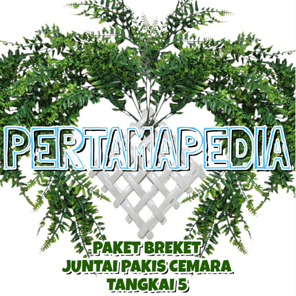 Jual PAKET BREKET KOTAK JUNTAI PAKIS CEMARA X5/ Bunga Plastik/ Daun ...