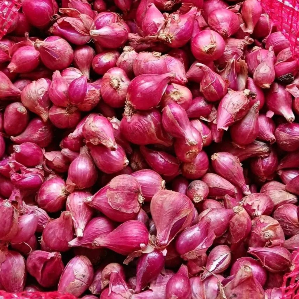 Bawang Merah 1 kg berkualitas|Bumbudapur