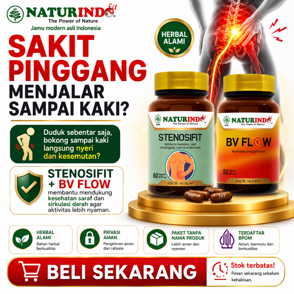 STENOSIFIT Naturindo Obat Saraf Kejepit Sakit Pinggang Sampai Kaki Skiatika Herbal Asli BPOM