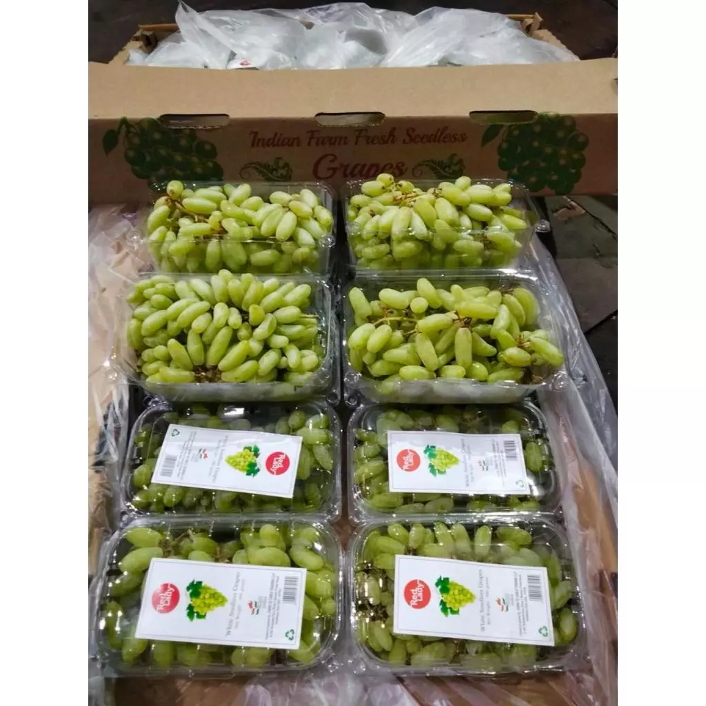 Buah-buahan Segar 500gr 1kg - Instant COD Surabaya Timur