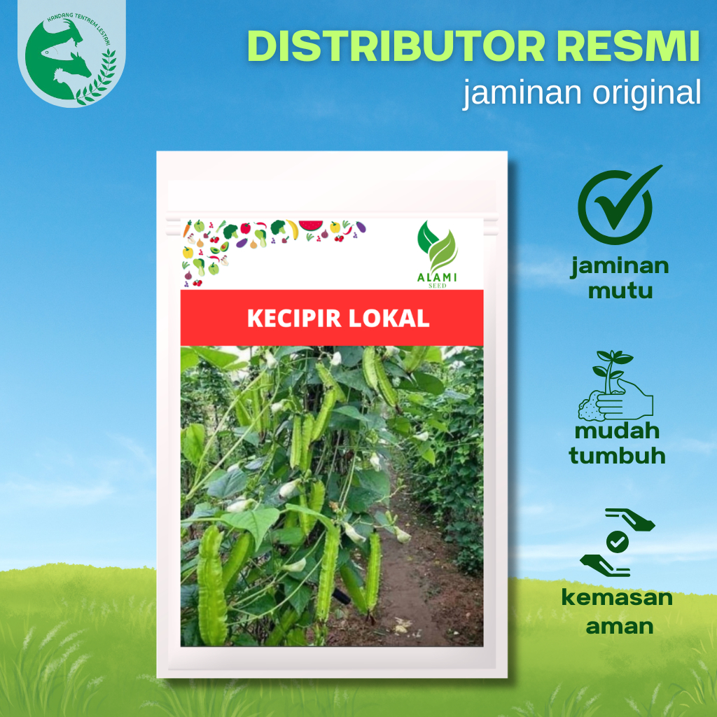 Benih Kecipir Sayur Lokal 25 gram Unggul Alami Seed Buah Banyak Tahan Penyakit
