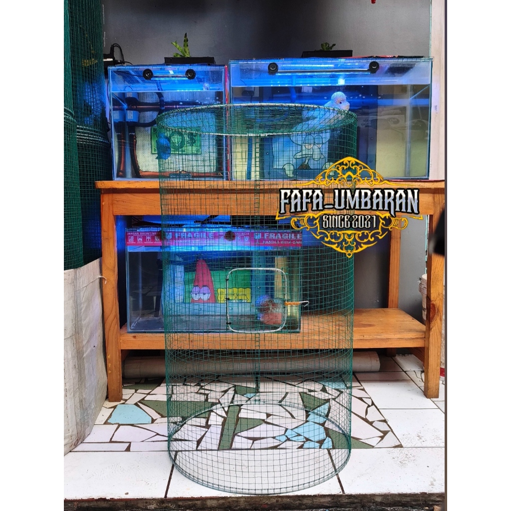 Jual Aviary Mini Terlengkap & Harga Terbaru Agustus 2026 | Shopee Indonesia