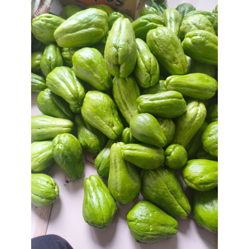 Jual Labu Siam Terlengkap & Harga Terbaru Agustus 2026 | Shopee Indonesia
