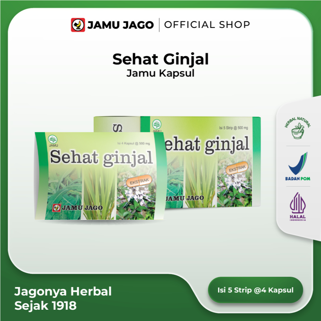 Sehat Ginjal Jamu Kapsul Memelihara Kesehatan Ginjal dan Membantu Melancarkan Buang Air Kecil