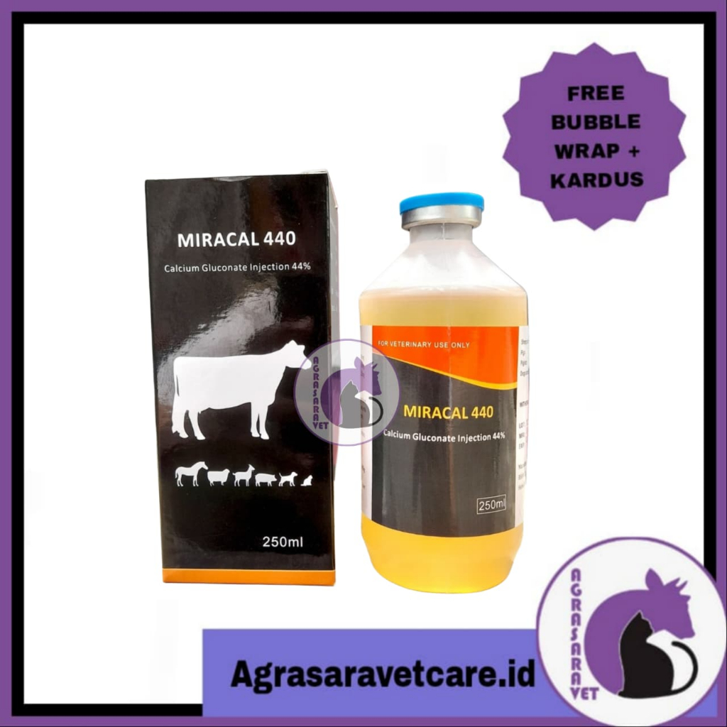 Jual MIRACAL 440 200 ml - Calcium infus untuk hypocalsium pada ternak ...