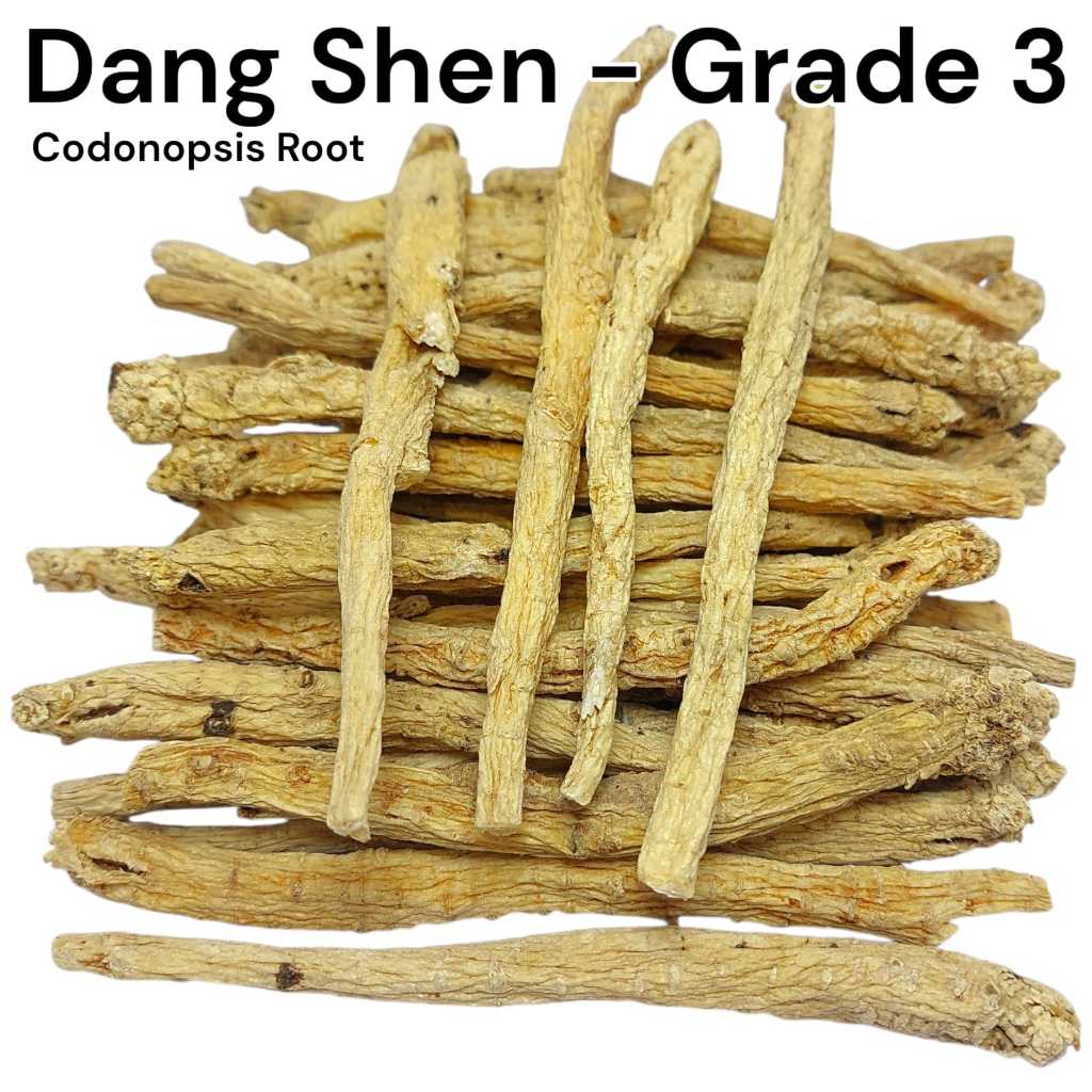 Jual Dang Shen Batangan 250g 500g 600g 1kg / TongSim / Tong Sim Sem ...