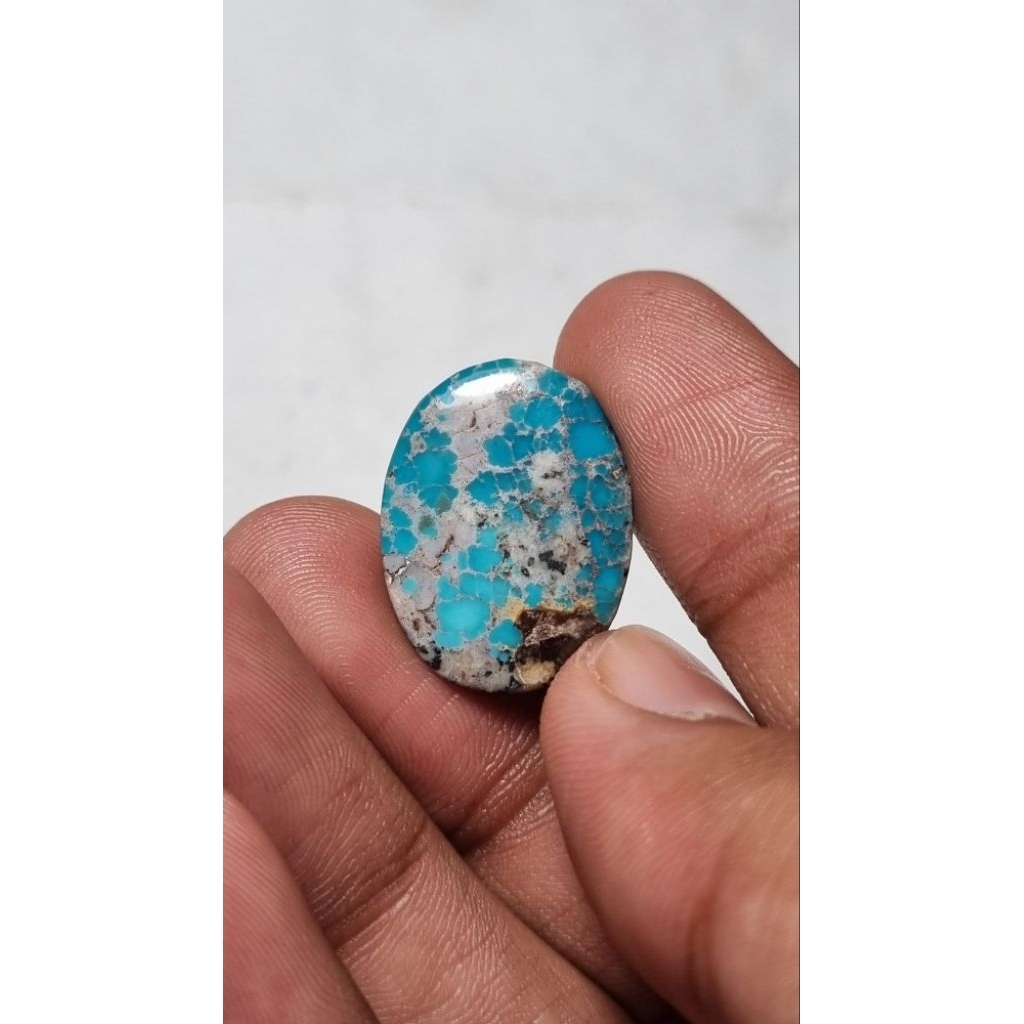 Jual Natural pirus persia | Shopee Indonesia