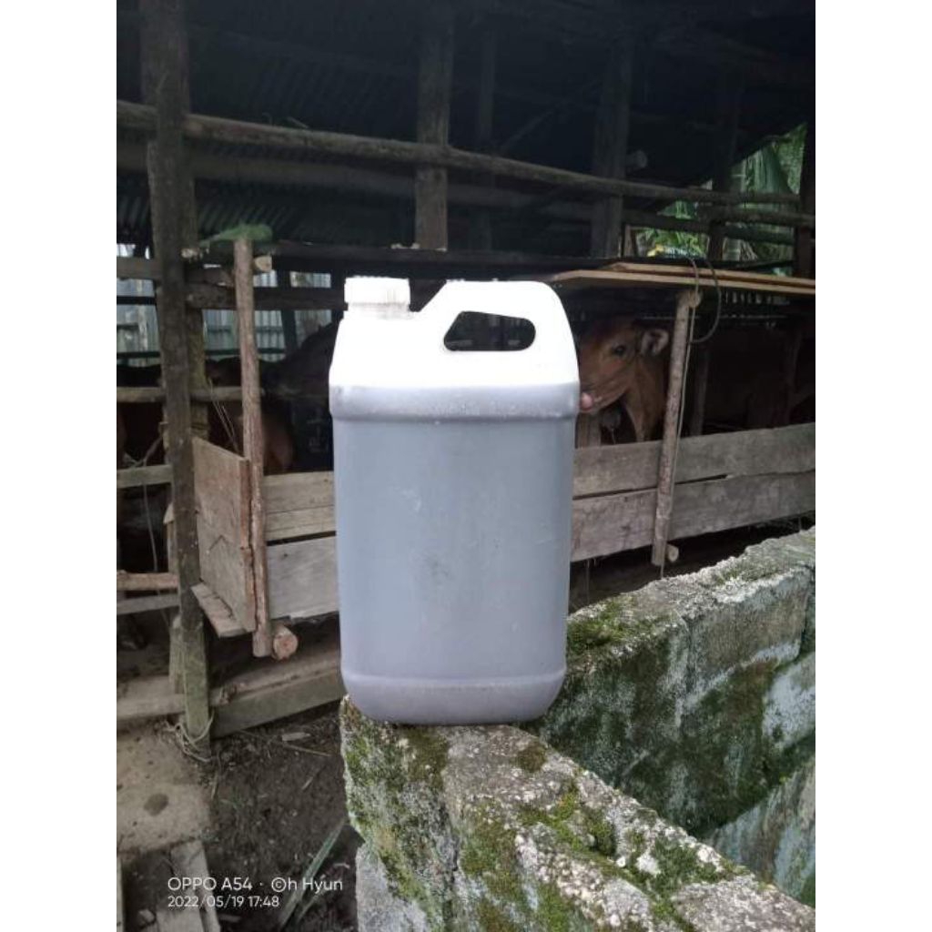 Jual Urine Sapi Murni Belum Fermentasi 5.Liter | Shopee Indonesia