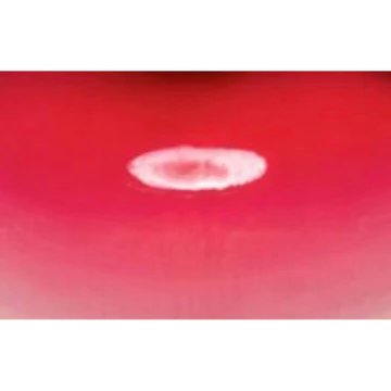CLX Crystal Glam Tint Glossy Lip Tint