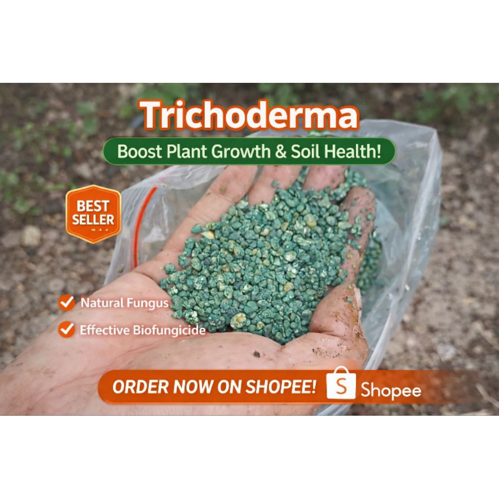 Jual Trichoderma murni Tricoderma isolat premium murni F1 Biofungisida ...