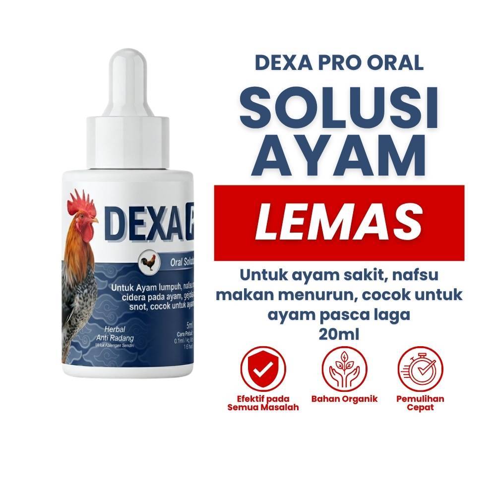 Jual dexa injeksi Harga Terbaik & Termurah Juli 2026 | Shopee Indonesia