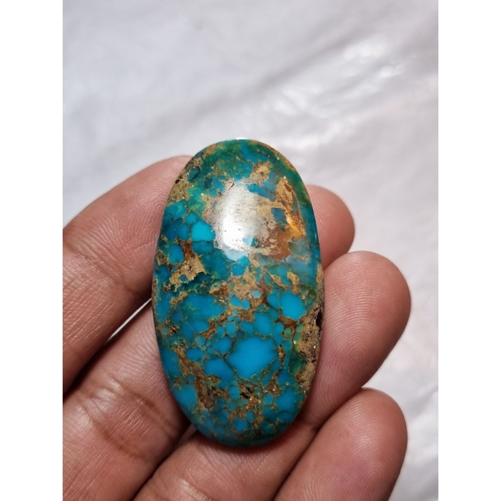 Jual natural pirus persia jumbo | Shopee Indonesia