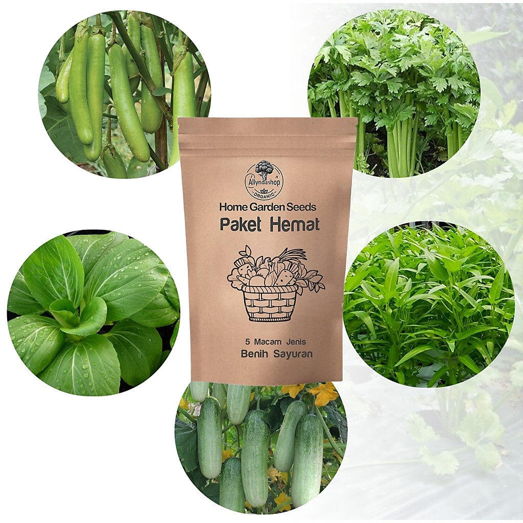 Benih Bibit Sayuran Paket Super Hemat Sawi Kangkung Timun Terong Seledri