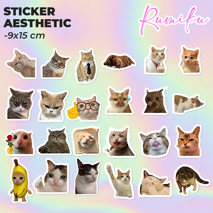 Jual Sticker Pack Meme Kucing Aesthetic Paper Vinyl Waterproof Dekorasi ...