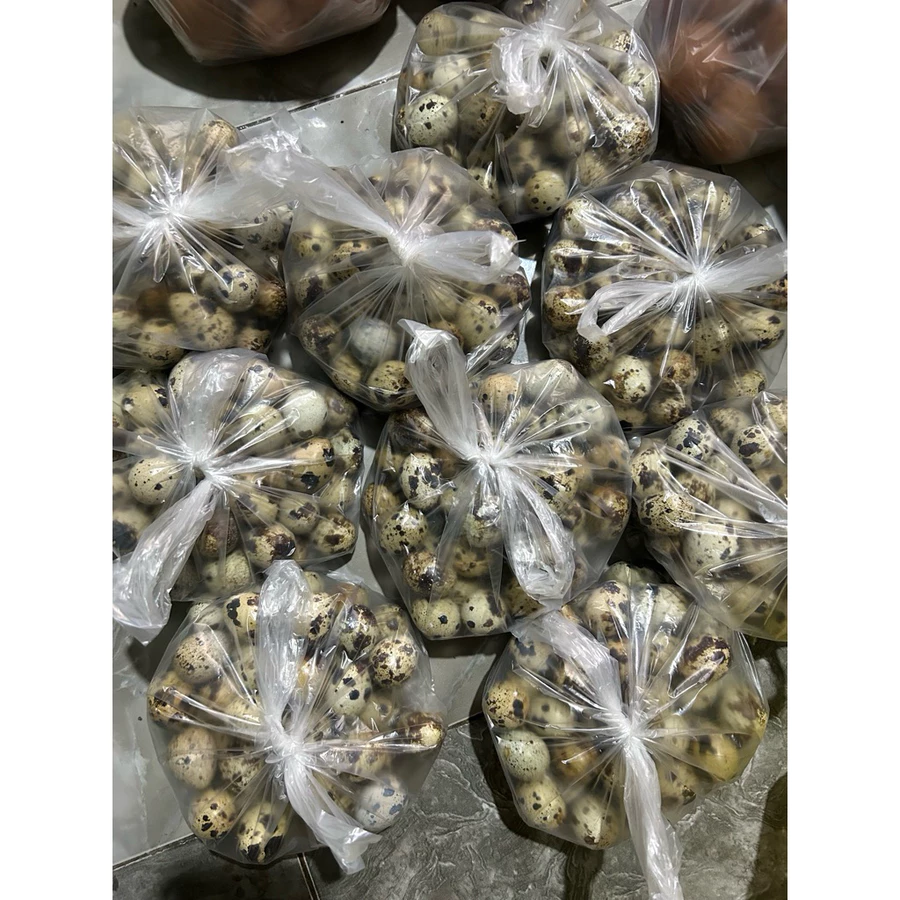 TELUR PUYUH 1 kg