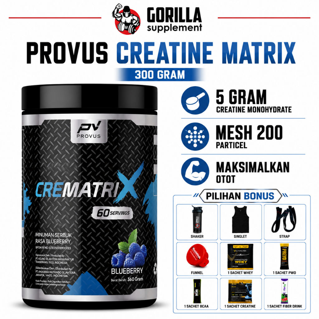 Jual PROVUS Creatine Monohydrate 300 Gram 60 Serving PV Mesh 200 ...