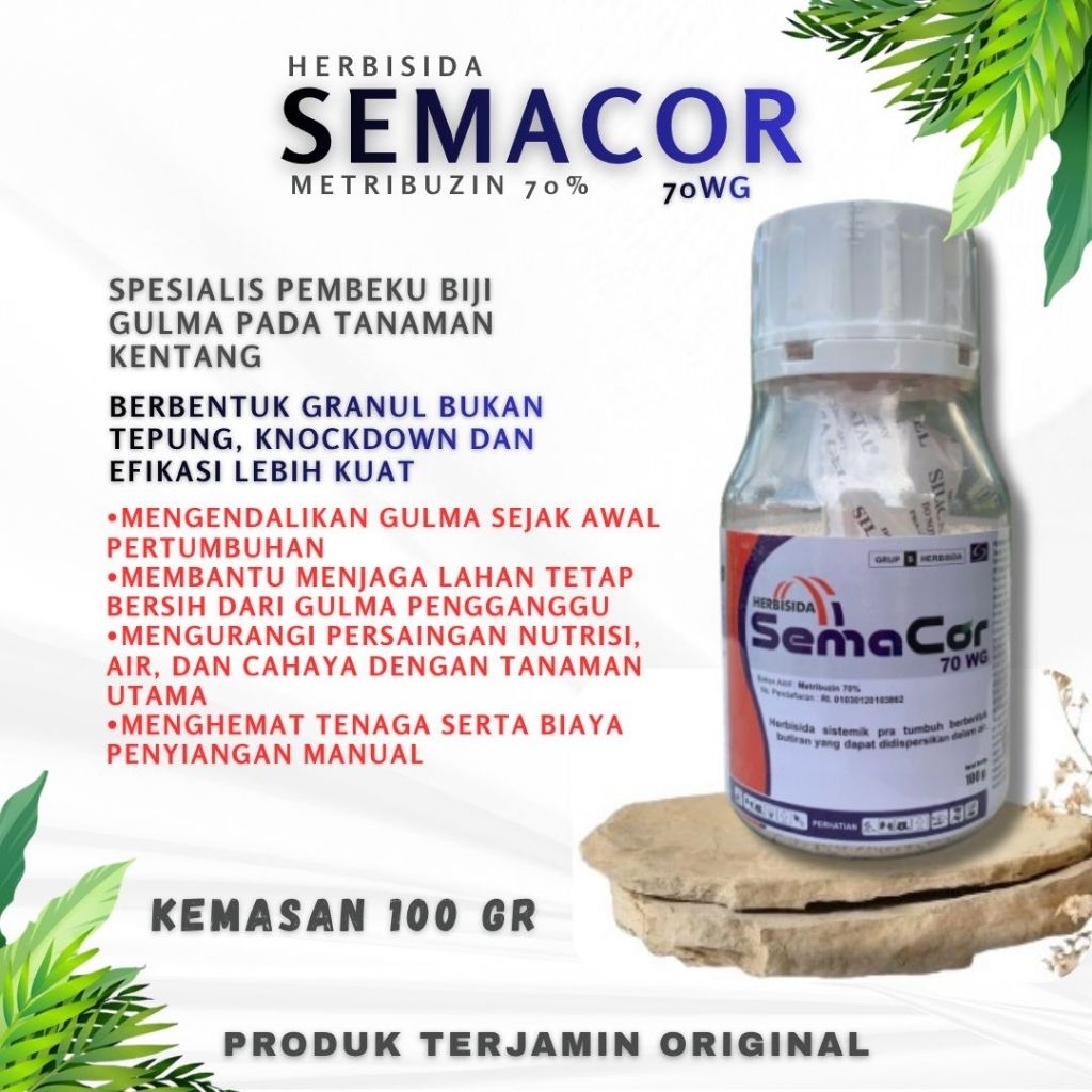 Jual SEMACOR 70 WG Metribuzin Kemasan 100Gr Ahli Bekukan Biji Gulma ...