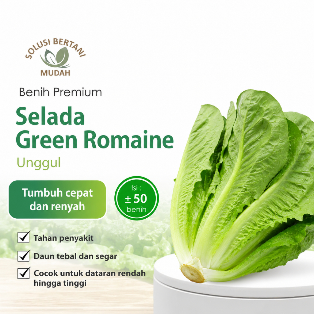 Bibit Selada Green Romaine F1 Berkualitas | Benih Sayuran Segar dan Produktif