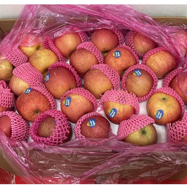 Jual 1,5KG INSTAN SURABAYA Buah Apel Fuji Fresh Manis perkilo Segar ...