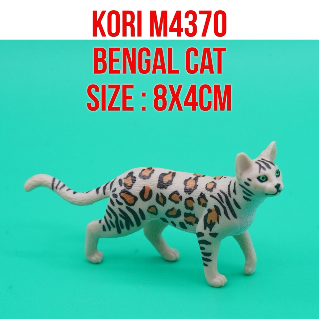Jual KORI M4370 Bengal Cat Kucing Bengal Hutan Kucing Batu Asia Felis ...