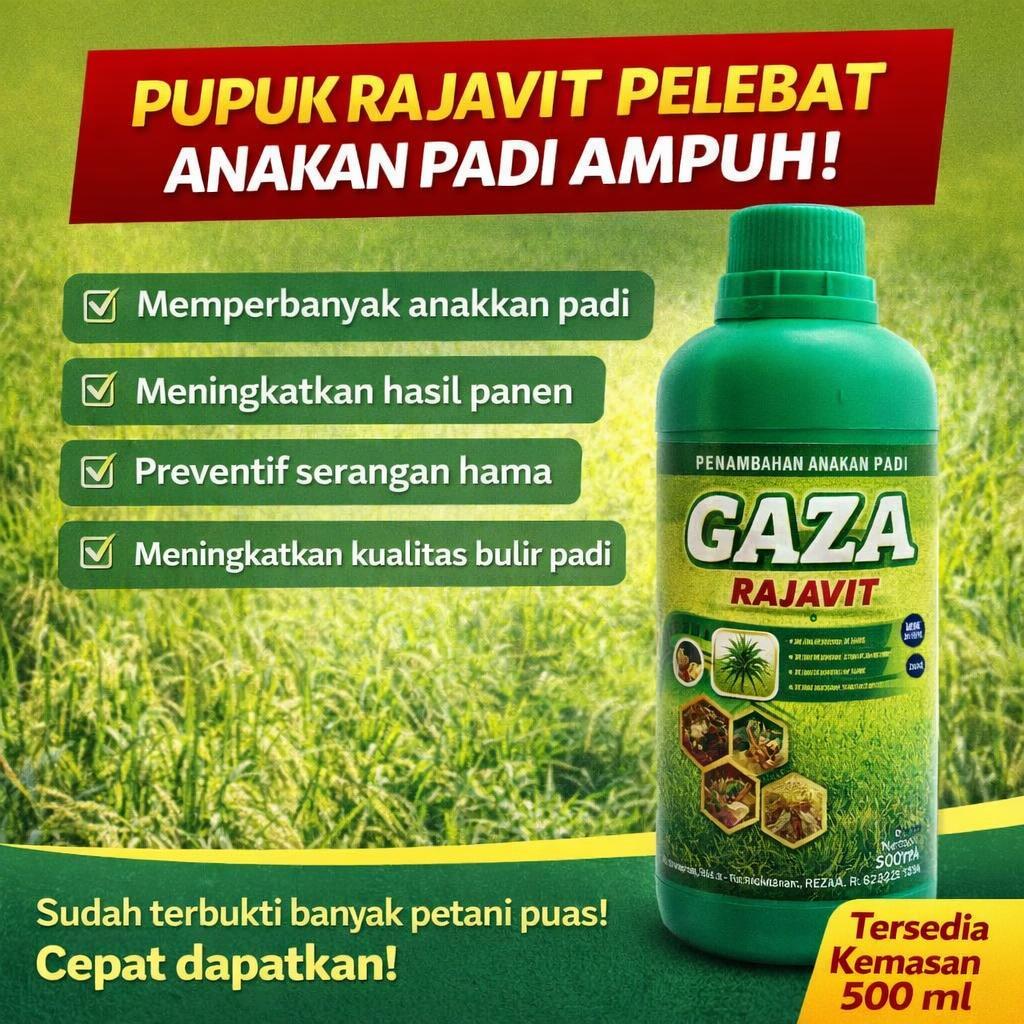 Jual Pupuk Rajavit 500ml Pelebat Anakan Padi Terlaris, Perangsang Tunas ...