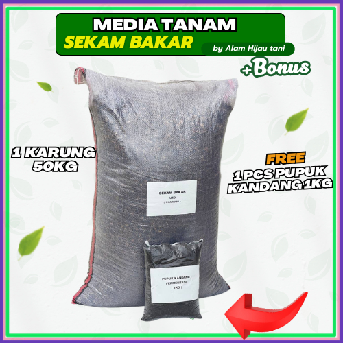 Sekam Bakar 1 Karung U50 Media Tanam – Bonus Pupuk Kandang Fermentasi 1KG