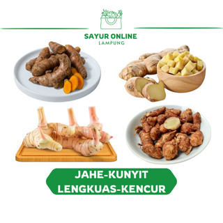 Aneka Bumbu Kunyit-Lengkuas - Jahe - Kencur 100 gr