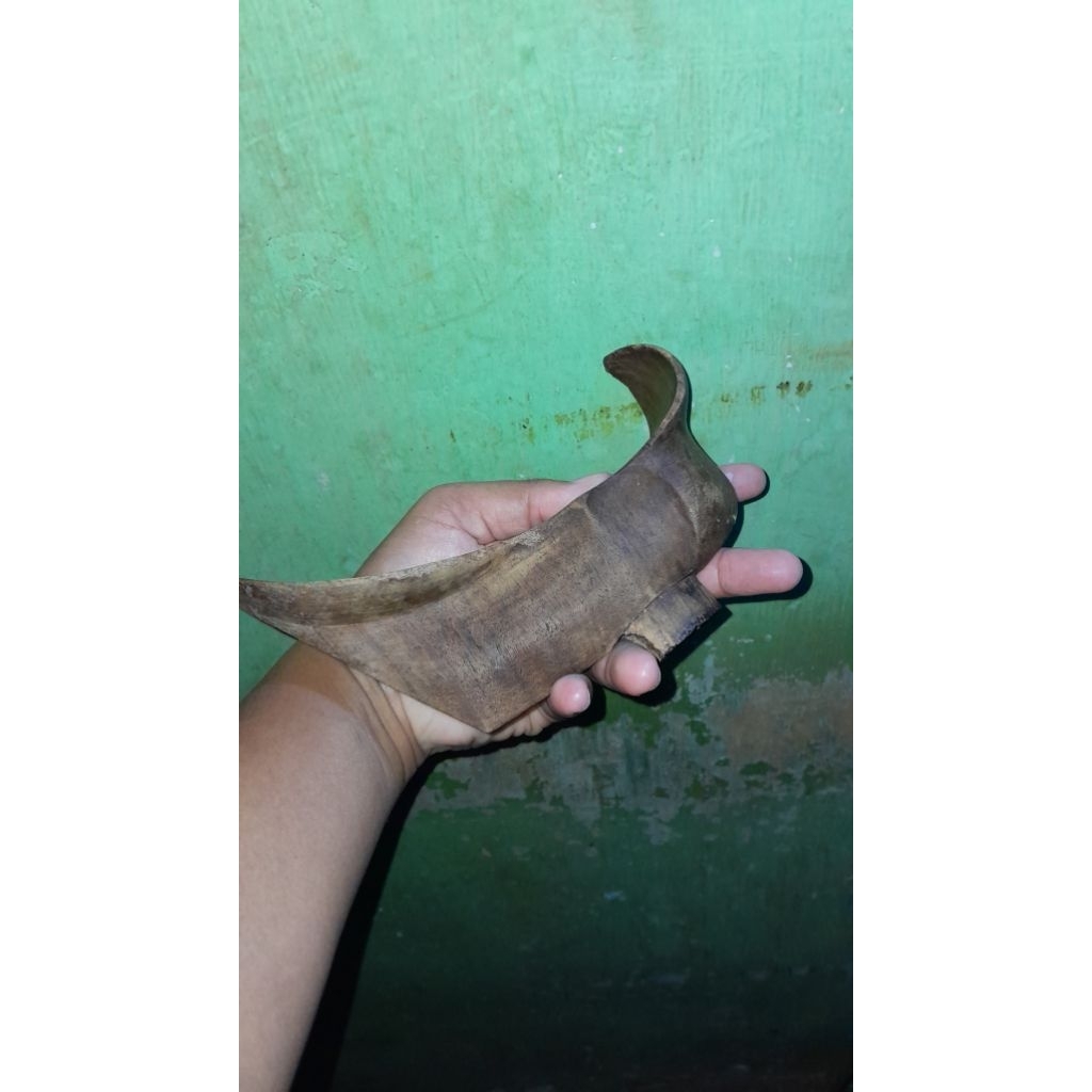 Jual pelok ladrang cabu | Shopee Indonesia