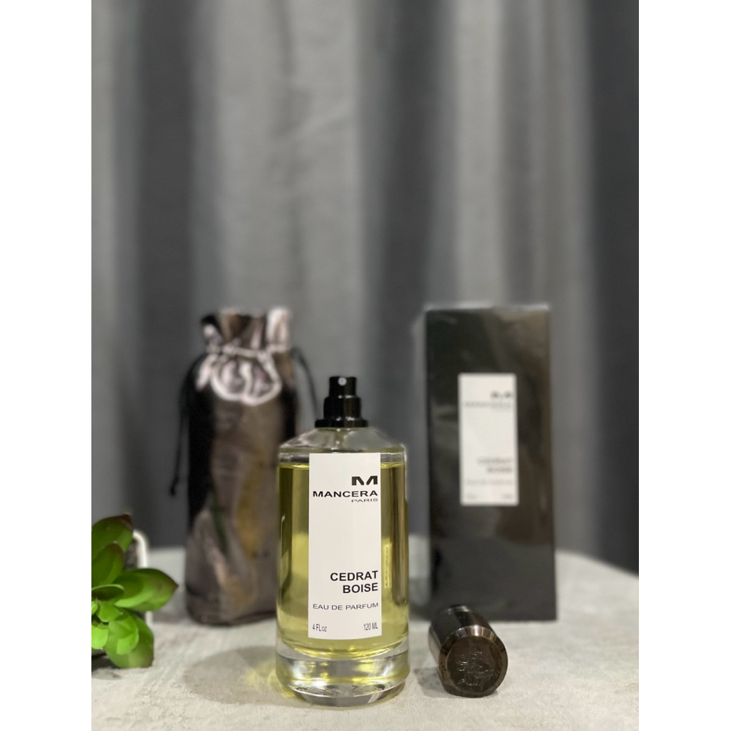 Jual Preloved Mancera Cedrat Boise [Batch 2024] | Shopee Indonesia